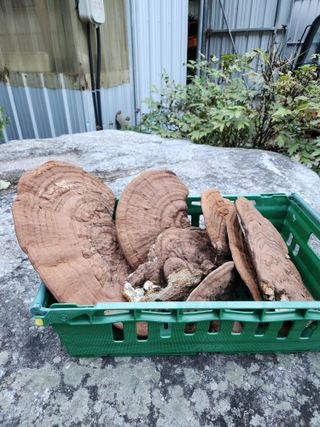 윤미선(농경채인증님의 자유주제 · 자유게시판 작성글 사진