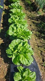 팜모닝 자유주제·사진전 게시글 이미지