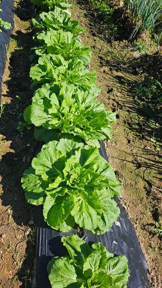 이원복님의 자유주제 · 사진전 작성글 사진