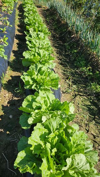 이원복님의 자유주제 · 사진전 작성글 사진