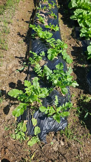 이원복님의 자유주제 · 사진전 작성글 사진