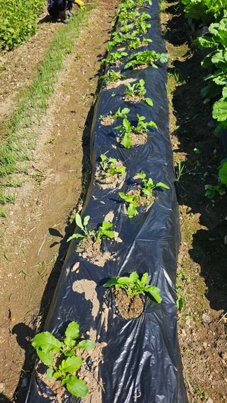 이원복님의 자유주제 · 사진전 작성글 사진