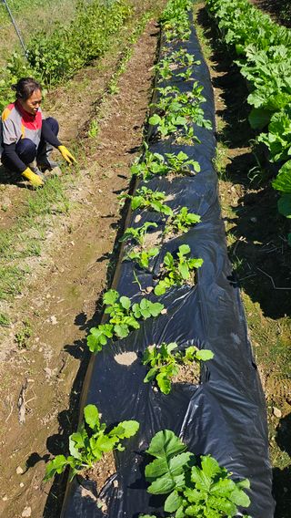 이원복님의 자유주제 · 사진전 작성글 사진