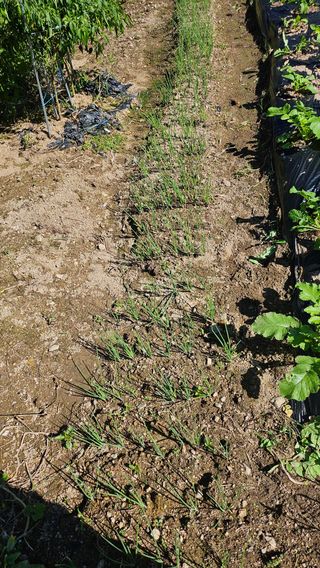 이원복님의 자유주제 · 사진전 작성글 사진