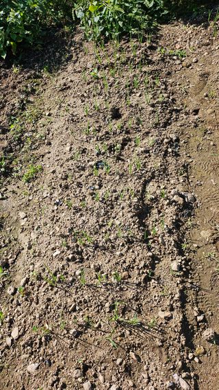 이원복님의 자유주제 · 사진전 작성글 사진