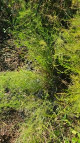 팜모닝 자유주제·사진전 게시글 이미지