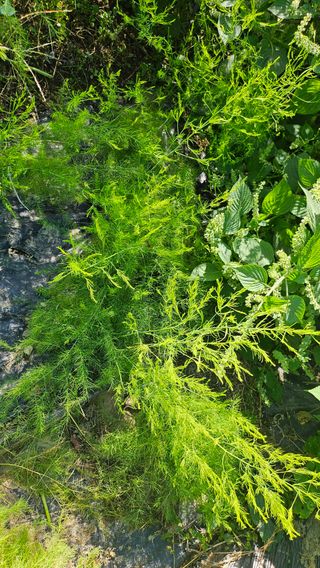 이원복님의 자유주제 · 사진전 작성글 사진