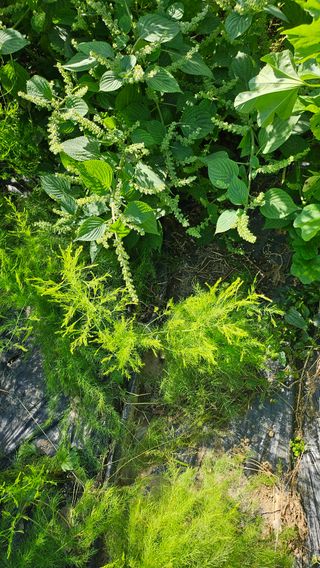 이원복님의 자유주제 · 사진전 작성글 사진