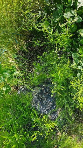 이원복님의 자유주제 · 사진전 작성글 사진