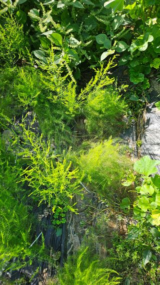 이원복님의 자유주제 · 사진전 작성글 사진