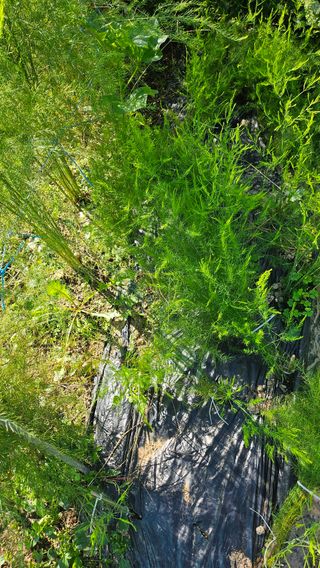 이원복님의 자유주제 · 사진전 작성글 사진