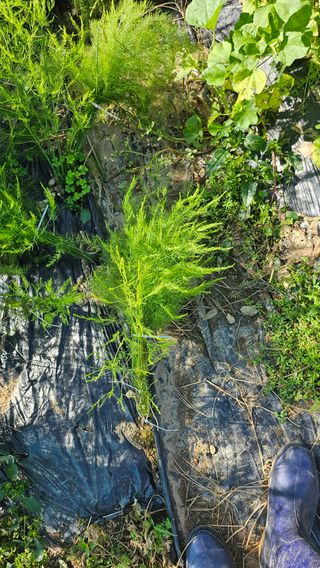 이원복님의 자유주제 · 사진전 작성글 사진