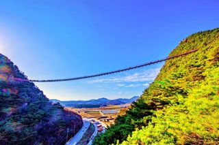 울금박사/빈덕열목사님의 자유주제 · 자유게시판 작성글 사진