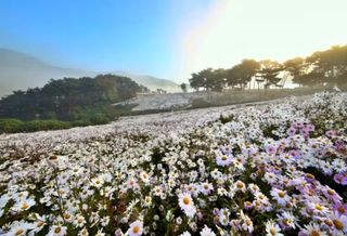 울금박사/빈덕열목사님의 자유주제 · 자유게시판 작성글 사진