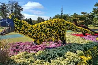 울금박사/빈덕열목사님의 자유주제 · 자유게시판 작성글 사진