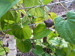 최한기님의 자유주제 · 자유게시판 작성글 사진