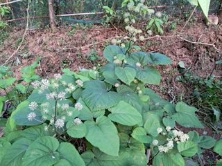 최한기님의 자유주제 · 자유게시판 작성글 사진