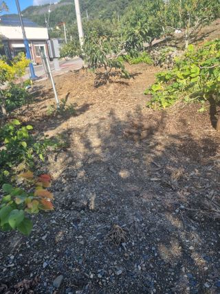 김용대님의 자유주제 · 자유게시판 작성글 사진