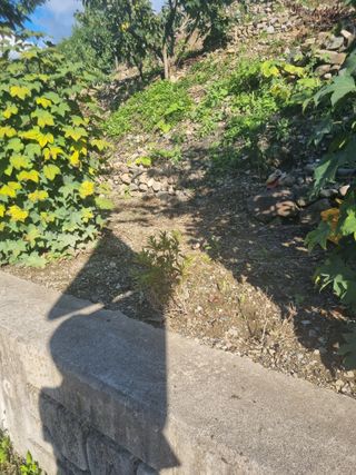 김용대님의 자유주제 · 자유게시판 작성글 사진