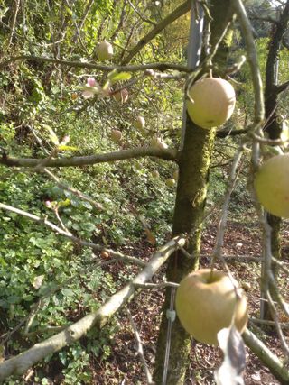 배추19087님의 자유주제 · 자유게시판 작성글 사진