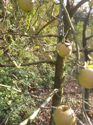 배추19087님의 자유주제 · 자유게시판 작성글 사진