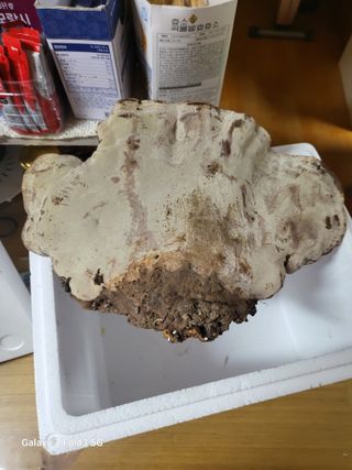 임호철님의 더운 가을, 농사 괜찮으신가요? · 참여글 작성글 사진