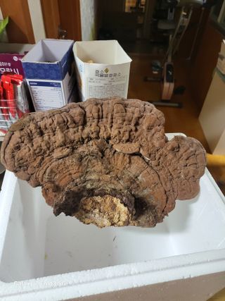 임호철님의 더운 가을, 농사 괜찮으신가요? · 참여글 작성글 사진