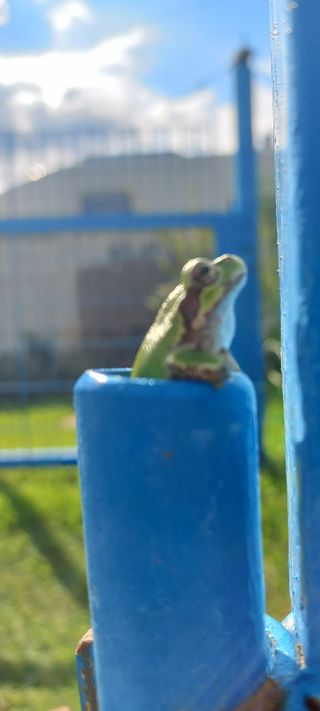 이성민님의 자유주제 · 자유게시판 작성글 사진