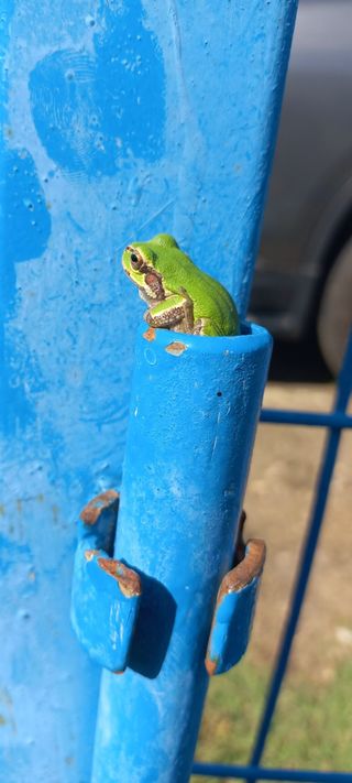 이성민님의 자유주제 · 자유게시판 작성글 사진
