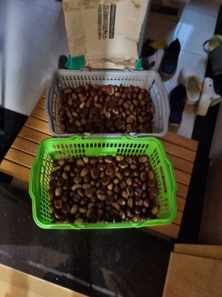 권오정님의 기타작물 · 영농일지 작성글 사진