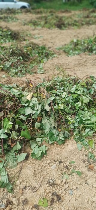 초보퍼머5도2촌준비님의 자유주제 · 자유게시판 작성글 사진