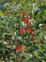 팜모닝 자유주제·사진전 게시글 이미지