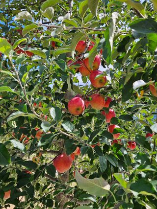 손기홍님의 자유주제 · 사진전 작성글 사진