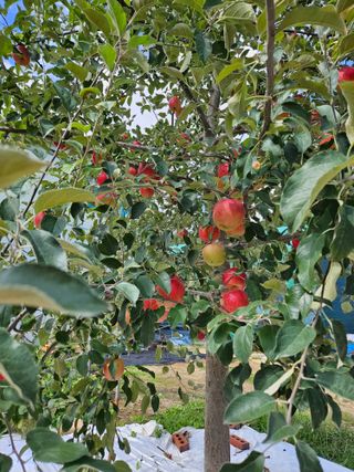 손기홍님의 자유주제 · 사진전 작성글 사진