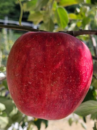 손기홍님의 자유주제 · 사진전 작성글 사진