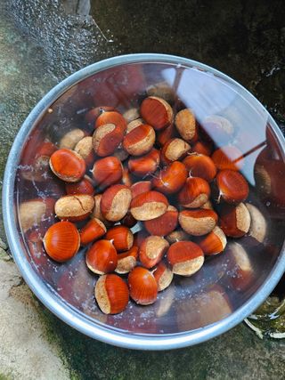 손기홍님의 자유주제 · 사진전 작성글 사진