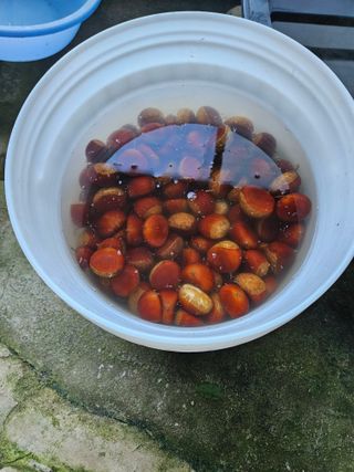 손기홍님의 자유주제 · 사진전 작성글 사진