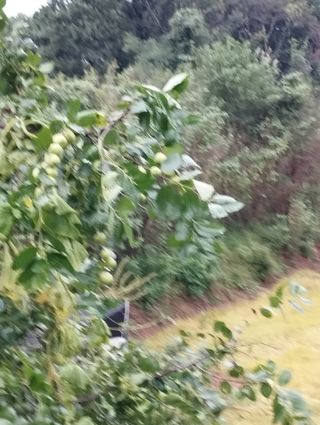 최병우님의 더운 가을, 농사 괜찮으신가요? · 참여글 작성글 사진