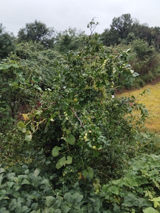 최병우님의 더운 가을, 농사 괜찮으신가요? · 참여글 작성글 사진