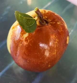 이동엽(양지팜)님의 작성글 사진