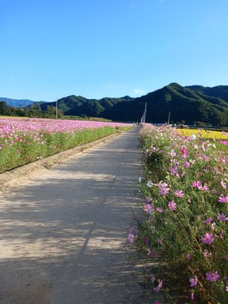 전국하님의 자유주제 · 자유게시판 작성글 사진