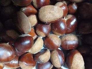 강지현님의 기타작물 · 영농일지 작성글 사진