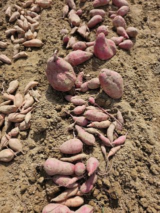 문옥규님의 자유주제 · 자유게시판 작성글 사진