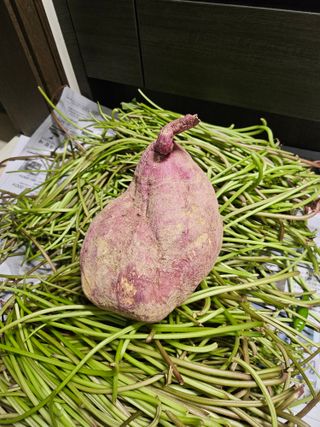 문옥규님의 자유주제 · 자유게시판 작성글 사진