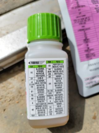 Kbcn님의 배추 · 영농일지 작성글 사진