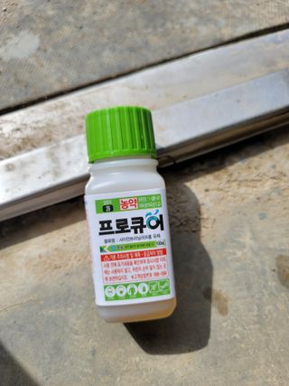 Kbcn님의 배추 · 영농일지 작성글 사진