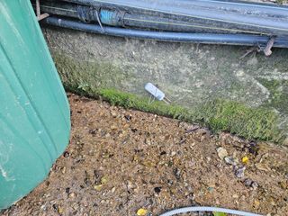 뿡뿡농장님의 블루베리 · 영농일지 작성글 사진