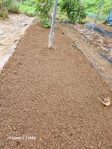 팜모닝 자유주제·자유게시판 게시글 이미지