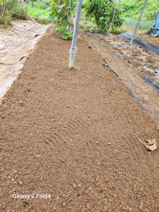이훈정(시몬)님의 자유주제 · 자유게시판 작성글 사진