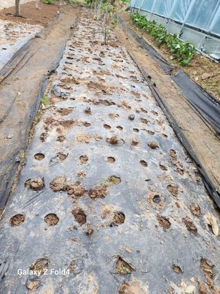 이훈정(시몬)님의 자유주제 · 자유게시판 작성글 사진